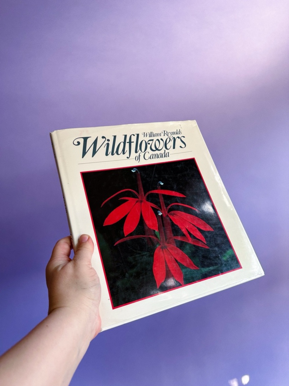 Wildflowers of Canada Hardcover Book - Cream Cover with Red Floral Image